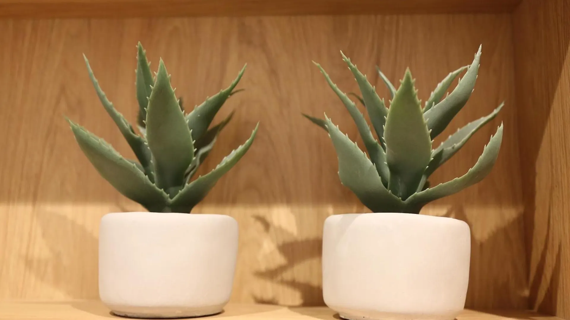 Safari Apartment - Plac Wolnosci 6 포즈난